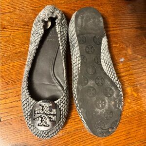 Tory old schoolo flats